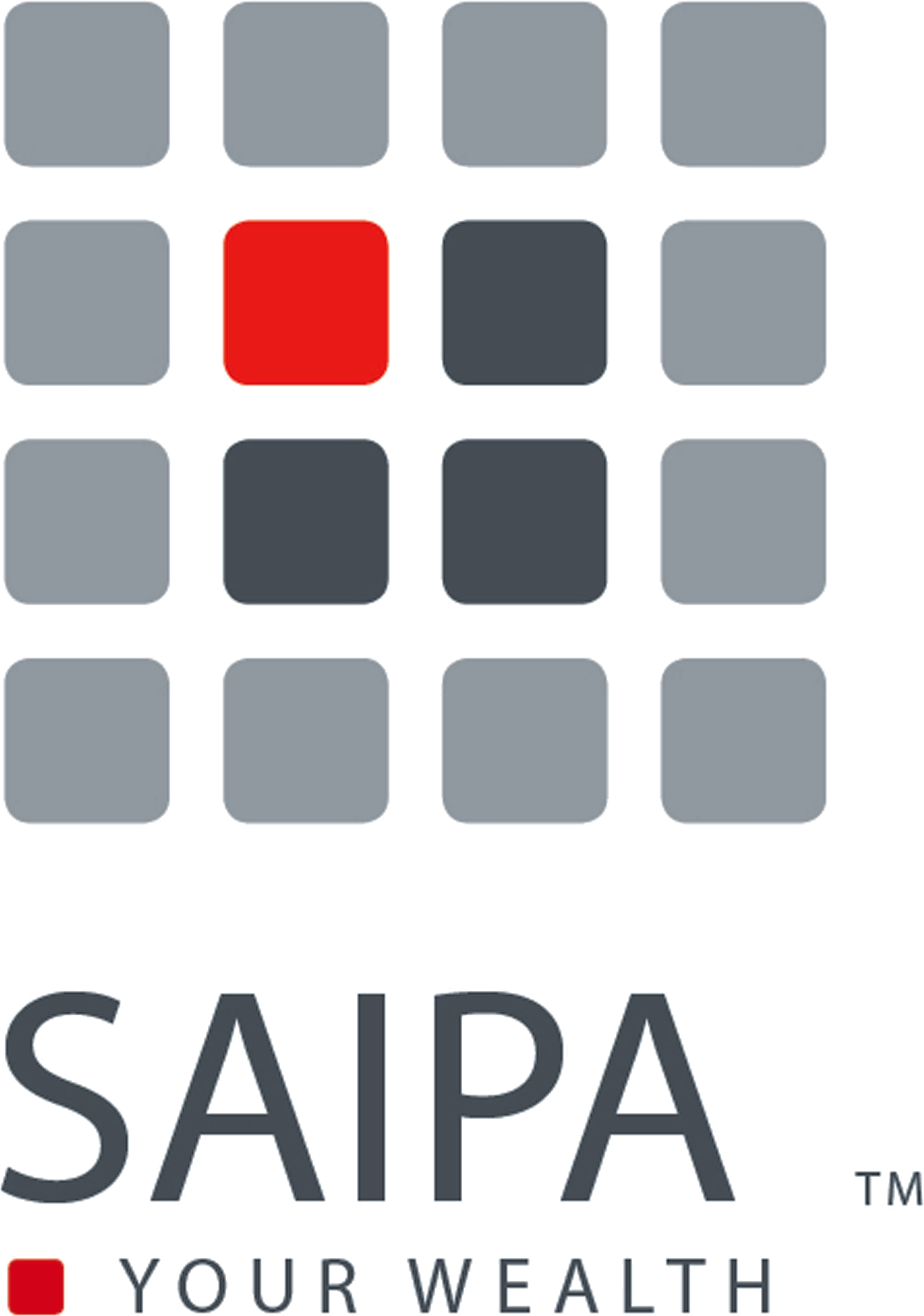 SAIPA — South African Institute of Professional Accountants member